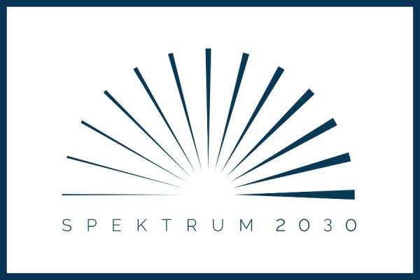 Nabór wniosków o udzielenie grantu w ramach konkursu SPE.01.2025